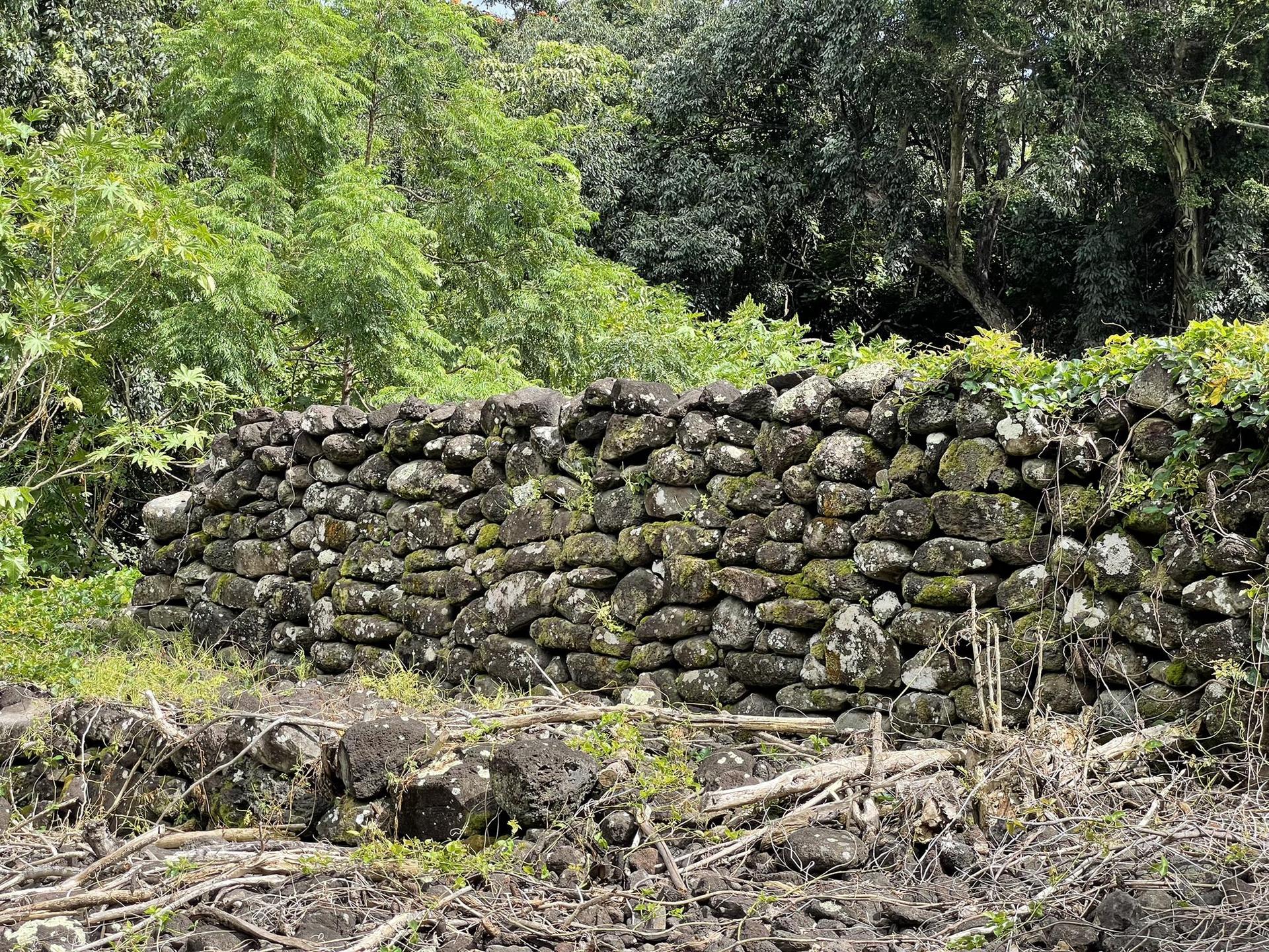 An old mossy stone wall stands before lush green trees under natural light.