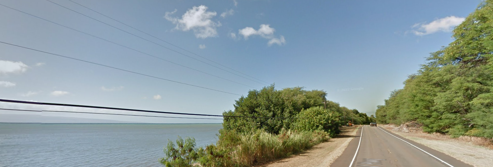 Bright sunny day on a coastal road with ocean, trees, and distant car.