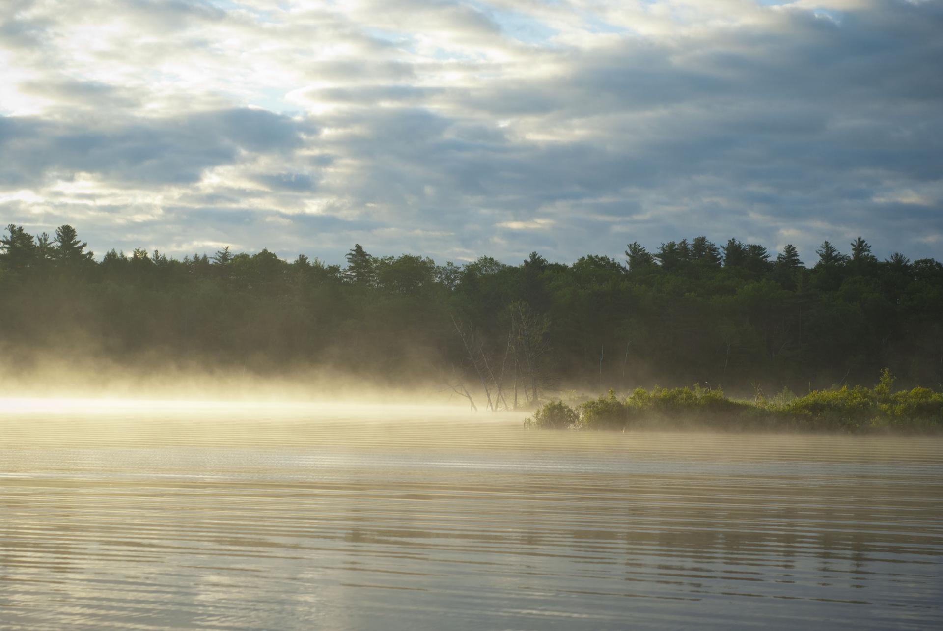 Misty morning over a calm lake with a dark forest in the background.