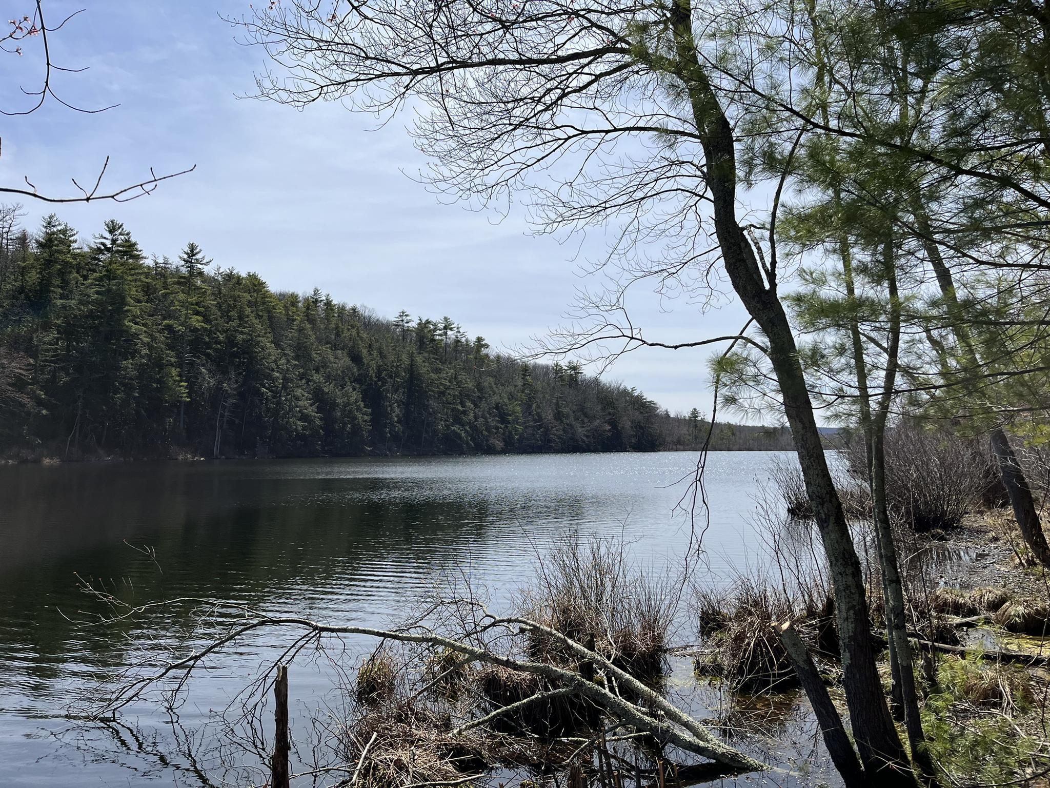 A calm lake surrounded by dense forest under a cloudy sky.