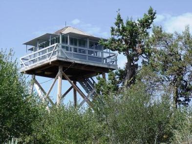 A wooden fire lookout tower stands tall among green trees under a clear sky.