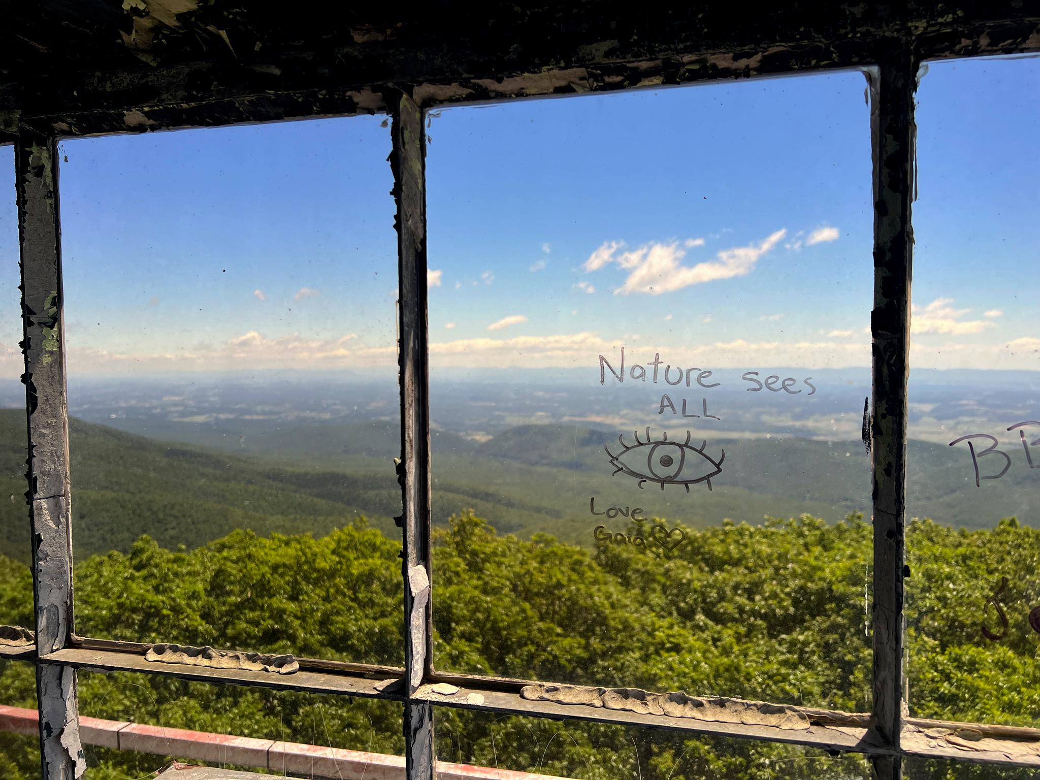 Mountainous forest landscape viewed through a window with graffiti under a bright sky.