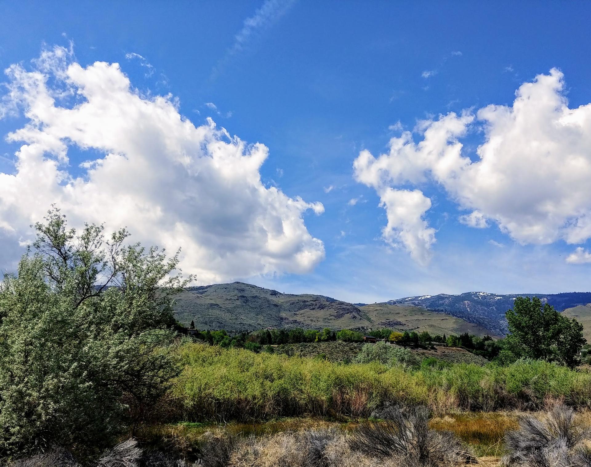 Sunny mountain landscape with green hills, bushes, and a bright blue sky.