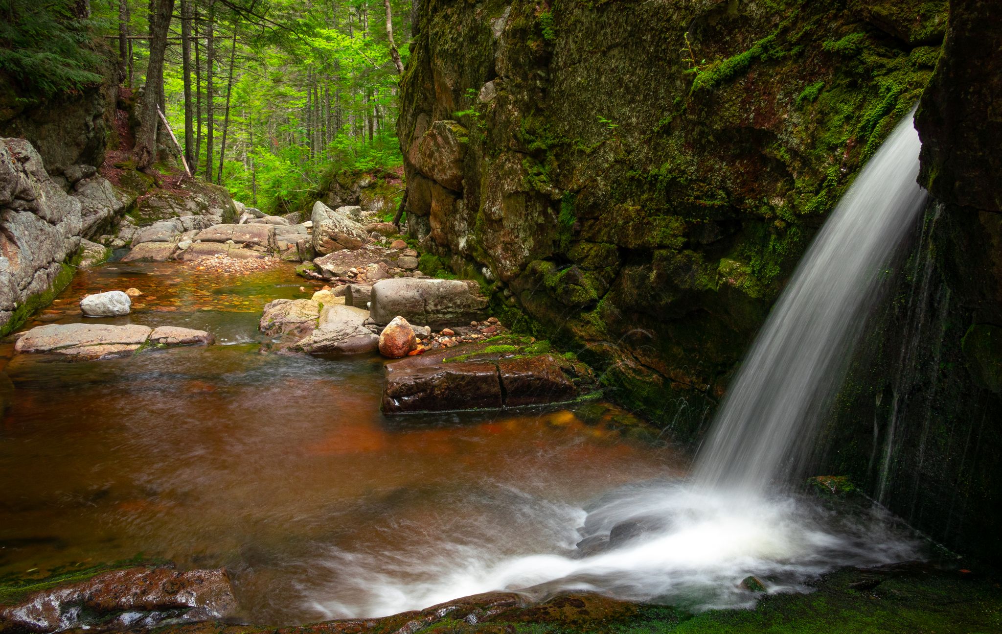 Waterfall plunging into a rocky, reddish stream in a shaded, mossy forest. - Basin Trail