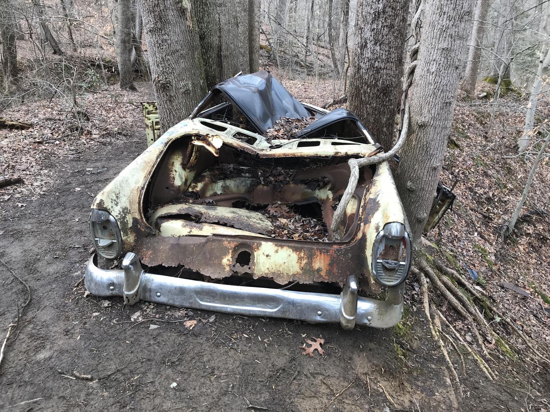 A heavily rusted, abandoned car wreck sits among trees on a forest floor.