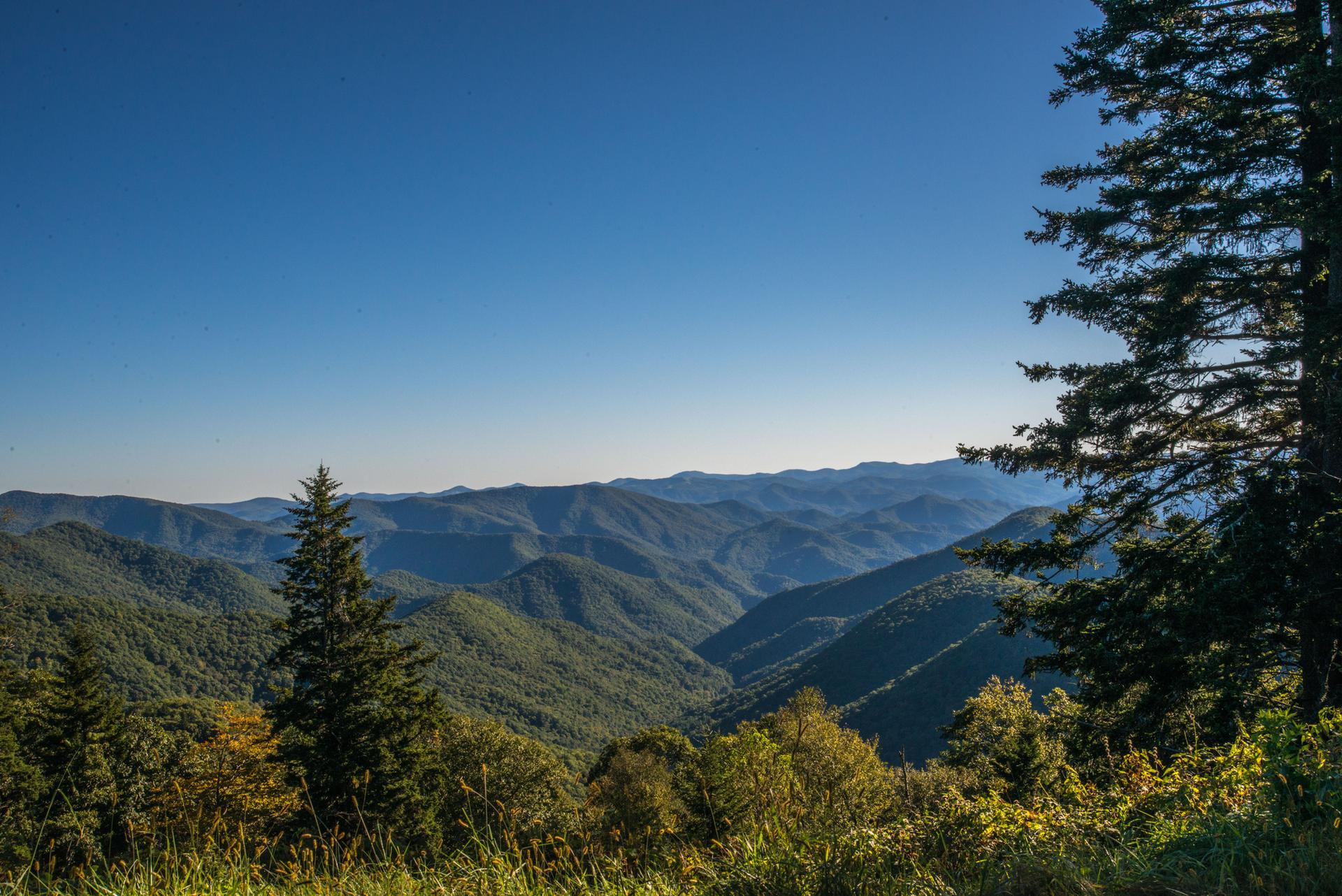 Expansive panorama of green forested mountains and valleys under a clear blue sky.
