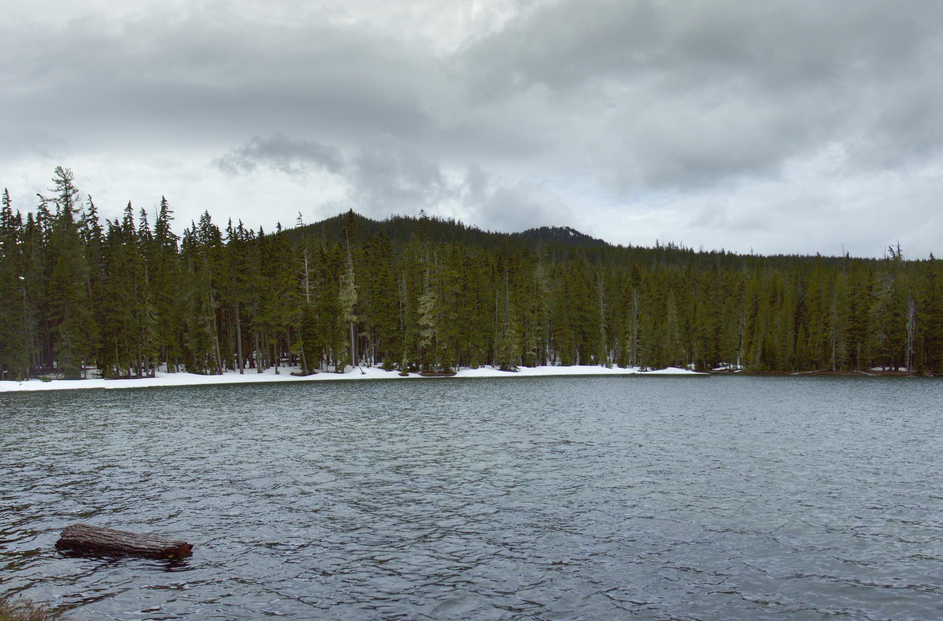 Overcast day over a lake with a log, evergreen forest, and snowy banks.