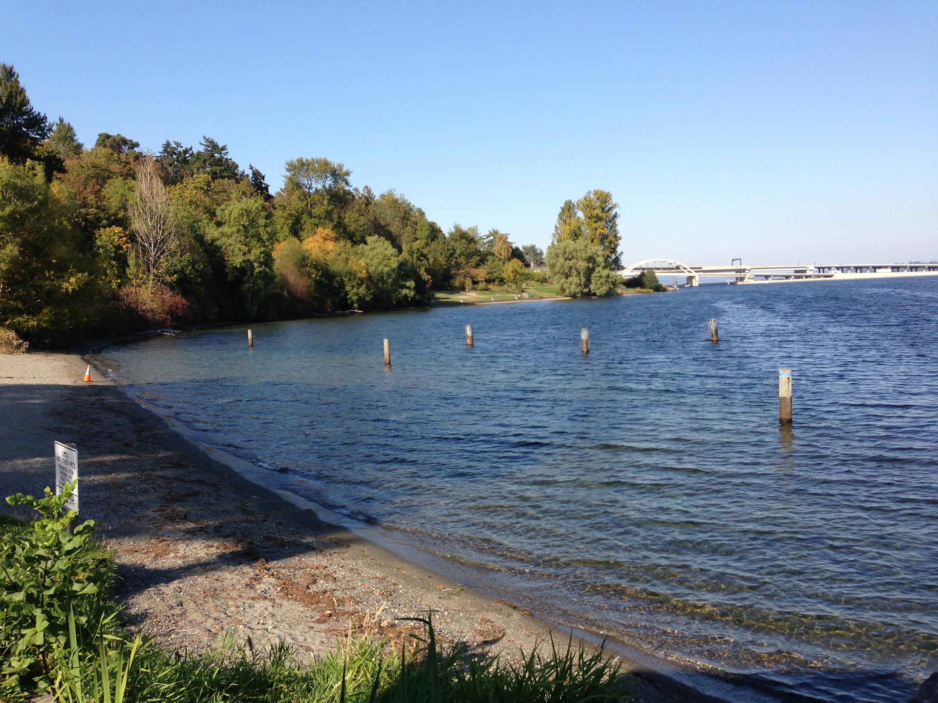 Sandy beach leading into a lake with wooden posts and a distant bridge.
