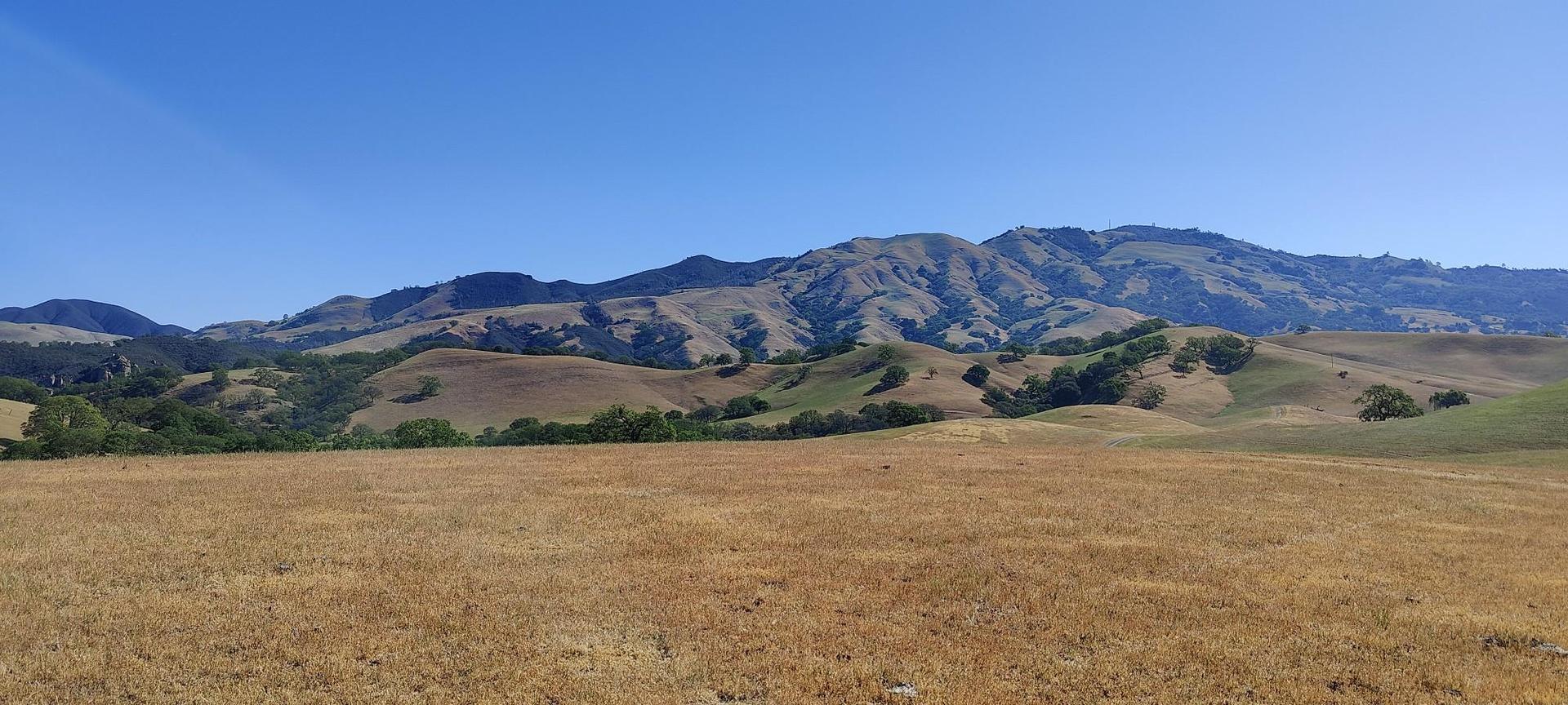 Wide view of golden fields leading to distant mountains under clear sky.