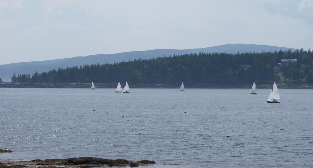 Several sailboats glide across calm water with distant forested hills under hazy sun.
