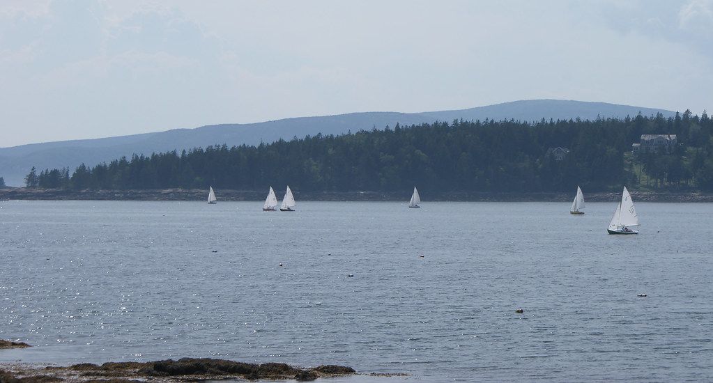 Several sailboats glide across calm water with distant forested hills under hazy sun. - Schoodic Loop Road