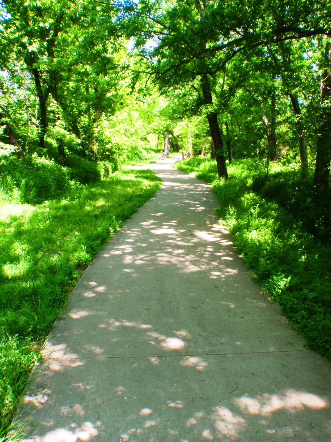 A straight paved path with bright green trees and dappled sunlight.