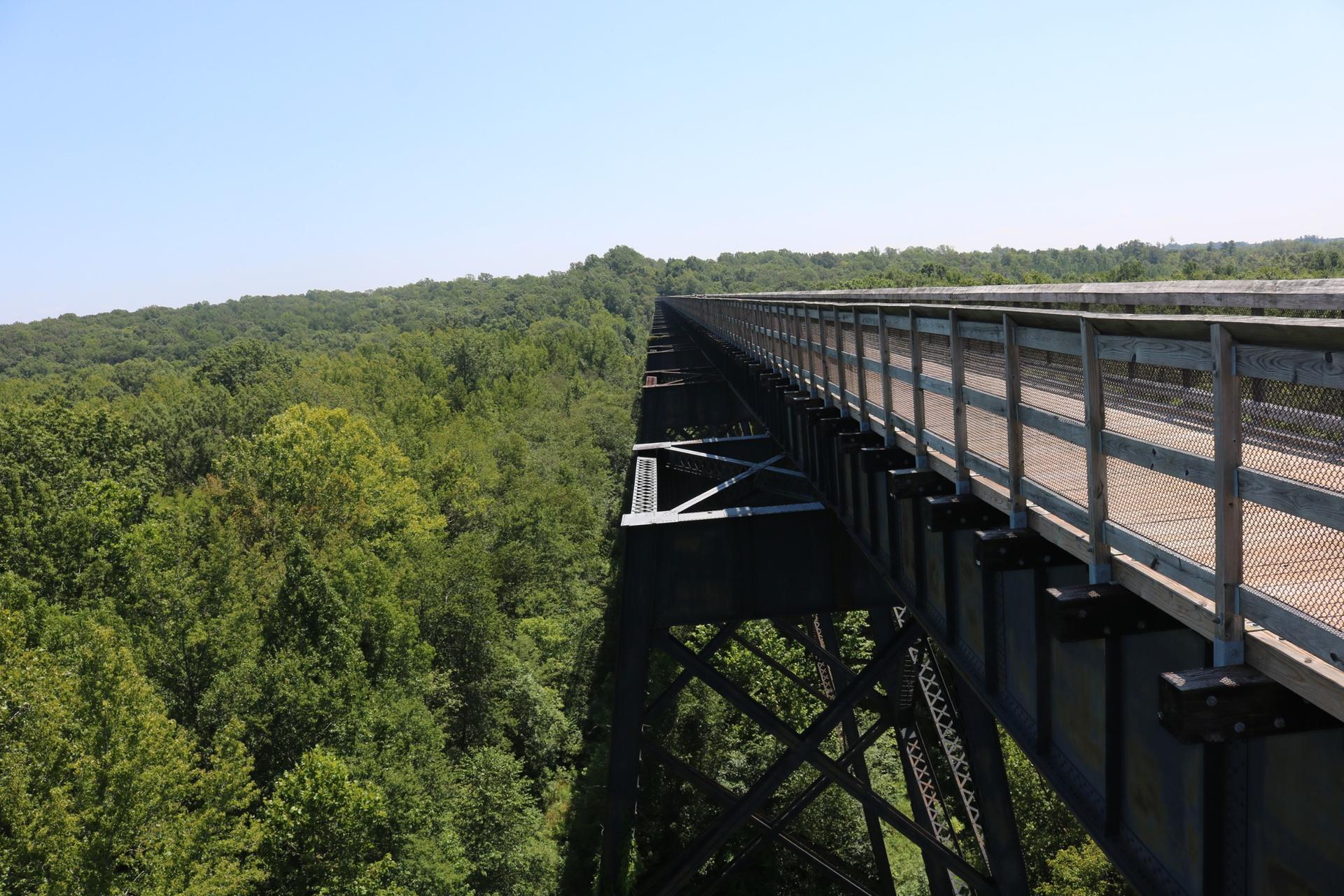 A long, tall bridge extends over a vast green forest on a sunny day.
