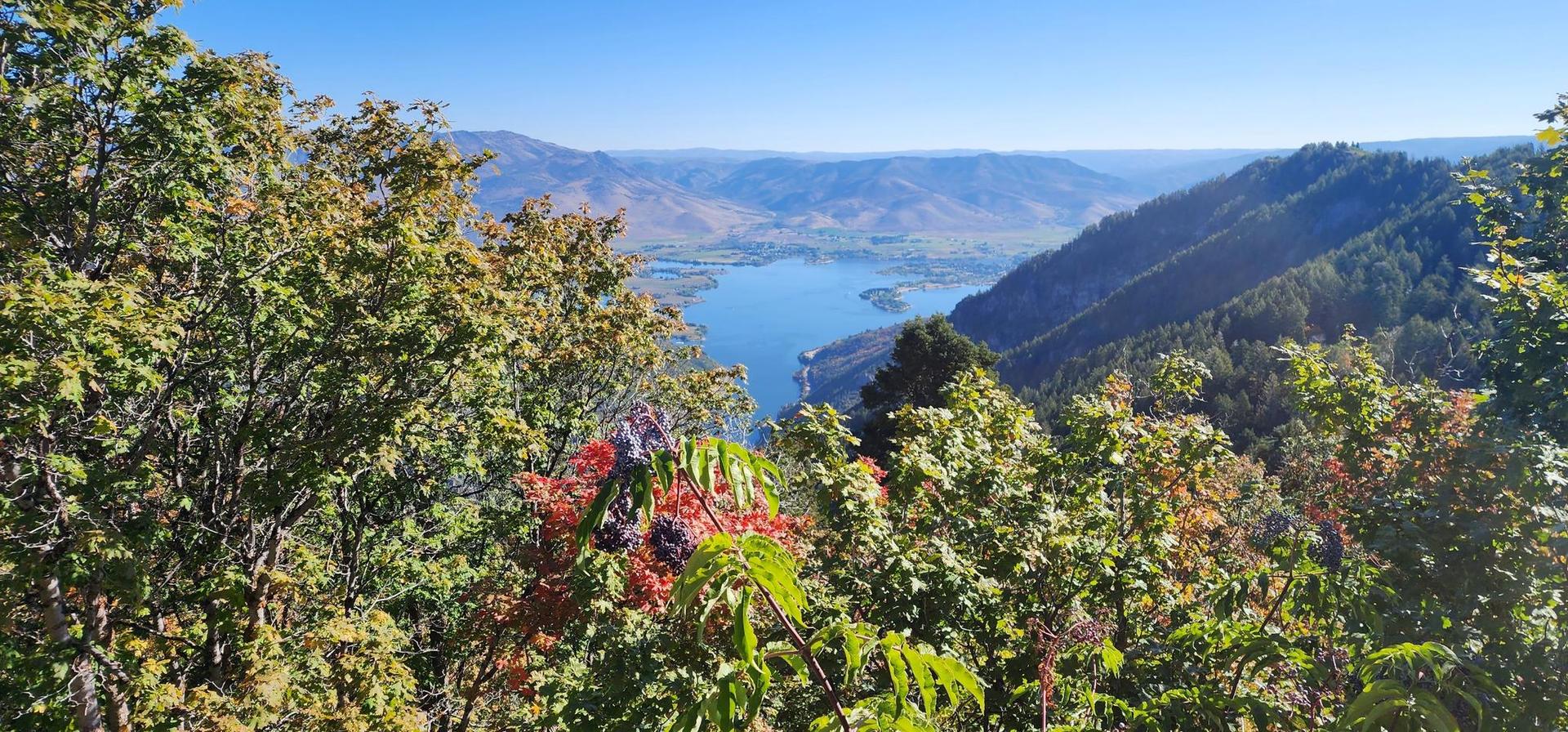 Lush green trees frame a long lake in a mountain valley under blue sky.