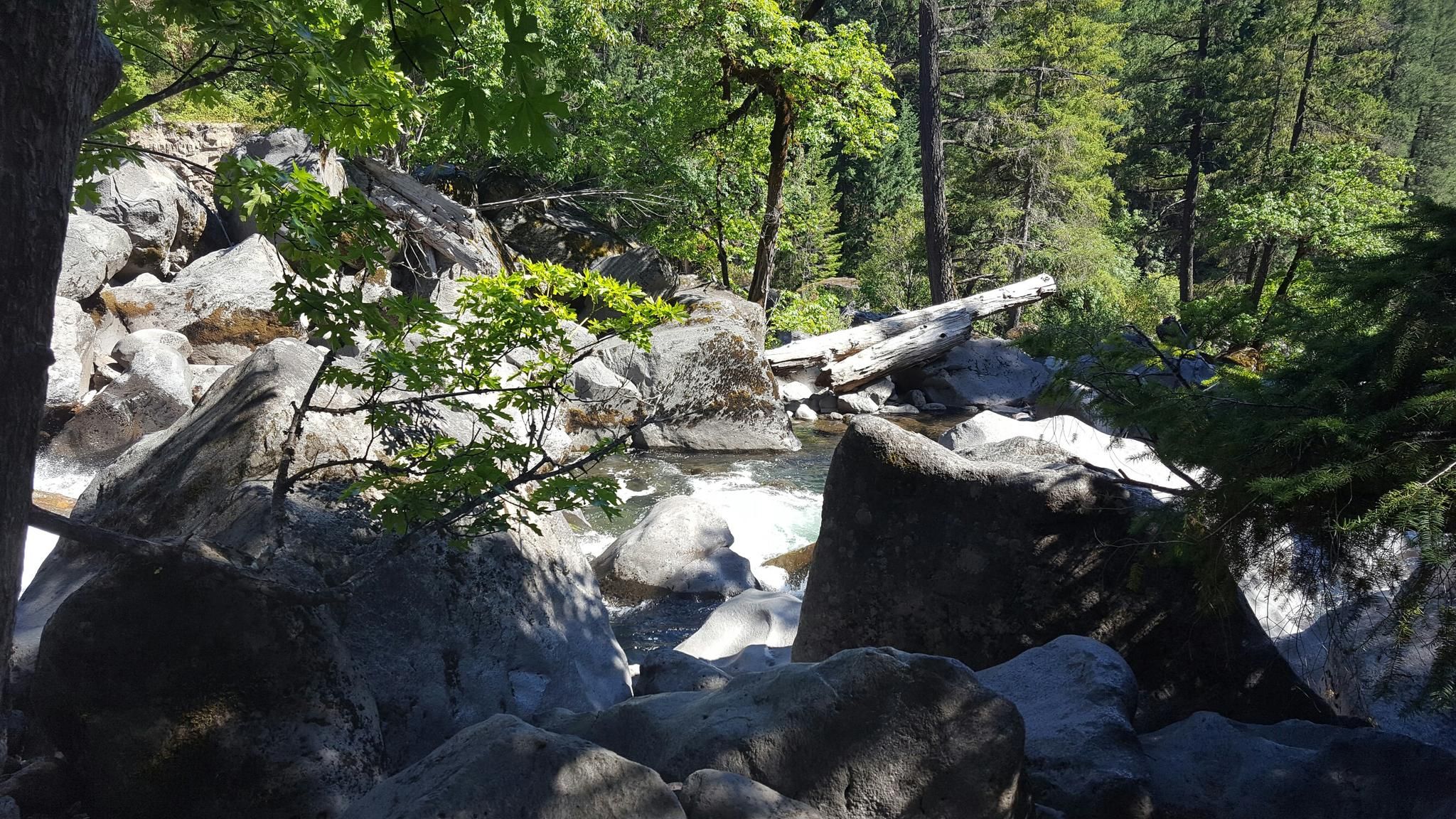 A rocky stream flows through a sunlit forest with large boulders and fallen logs. - Mill Creek and Barr Creek Falls Trail