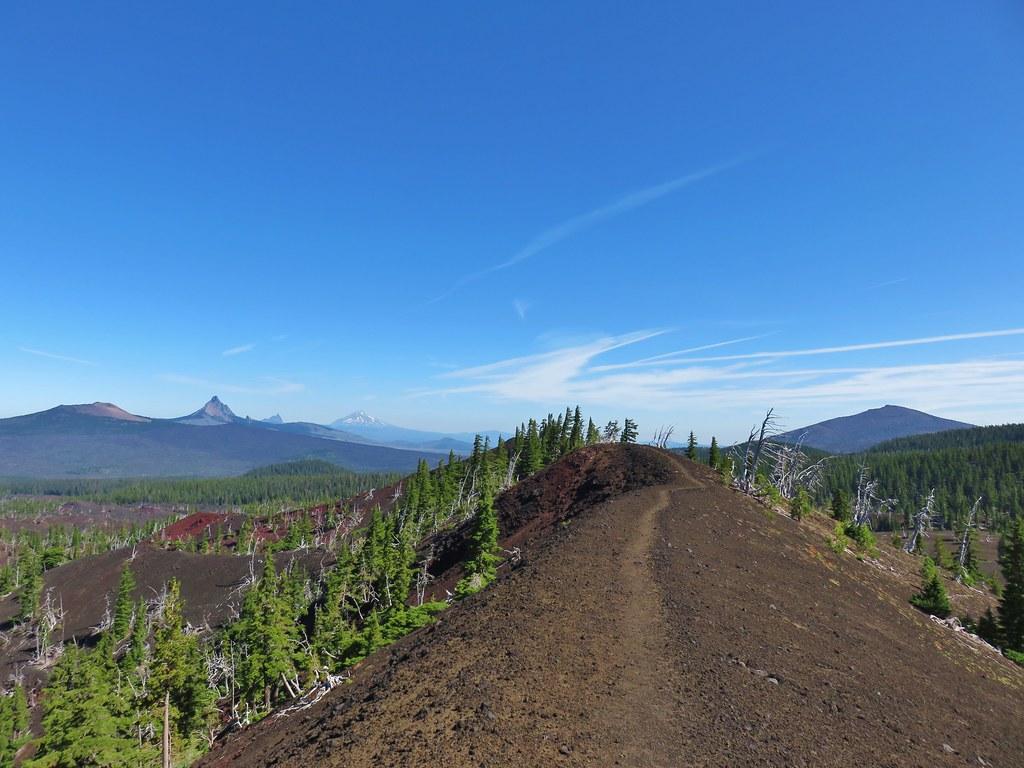 A dirt path follows a brown ridge with pine trees and distant mountains.
