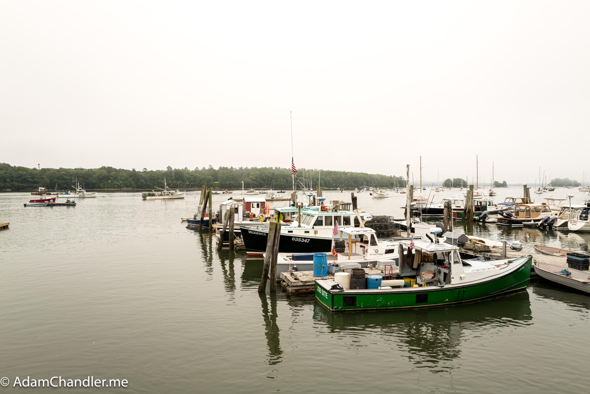 Many boats docked in a calm harbor under an overcast sky.