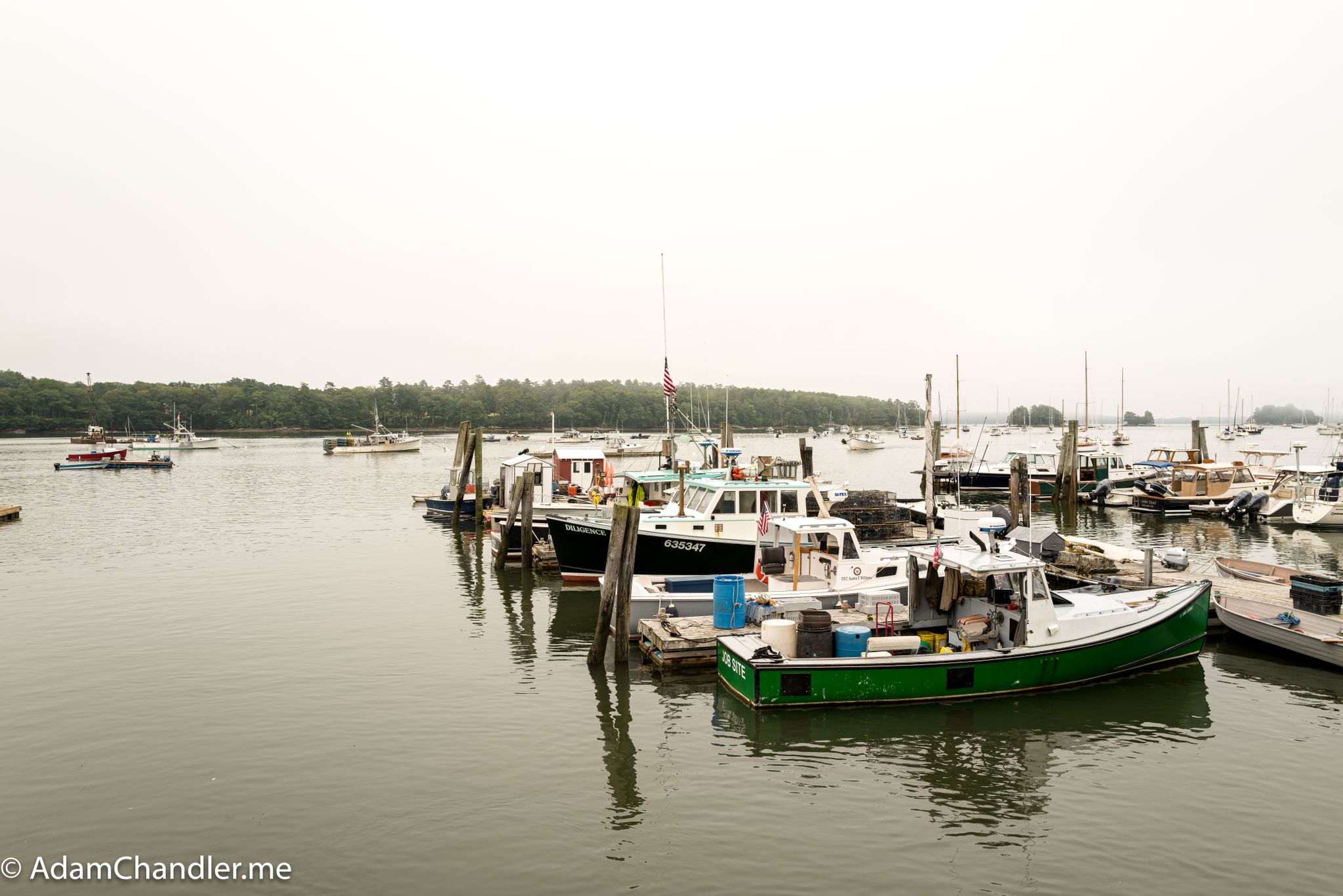 Many boats docked in a calm harbor under an overcast sky. - Bucksport – Verona Island loop from Bucksport