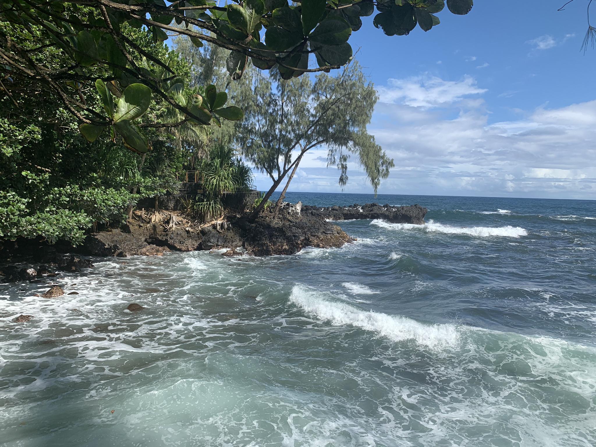Waves crash on a rocky tropical coastline with lush trees under a blue sky.
