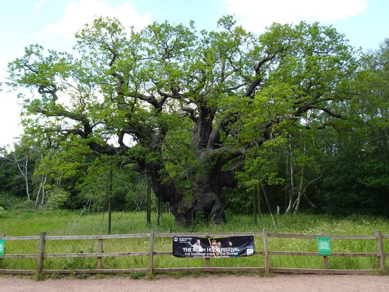 Major Oak Routes for Walking and Hiking | Komoot