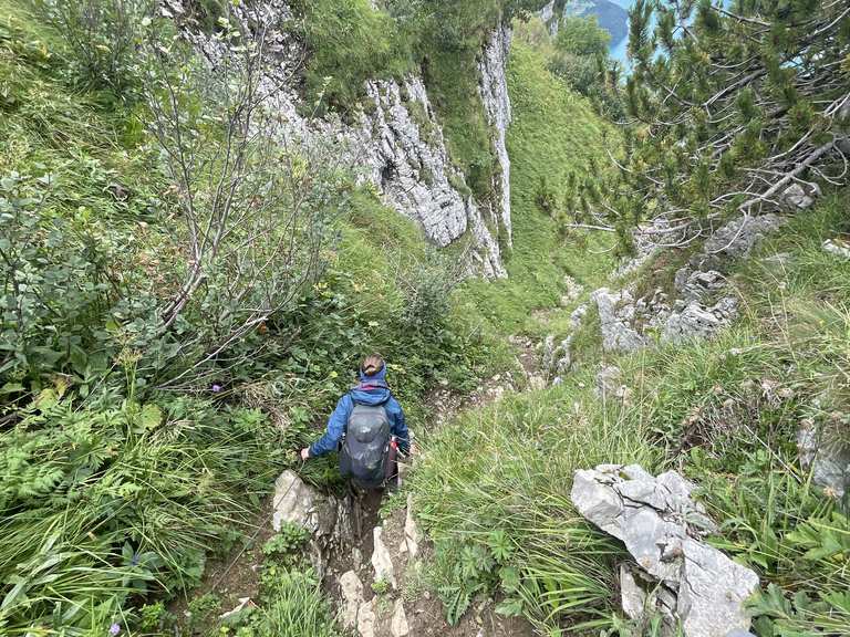 Steiler Abgang zur Talstation nach Morschach: Wanderungen und Rundwege ...