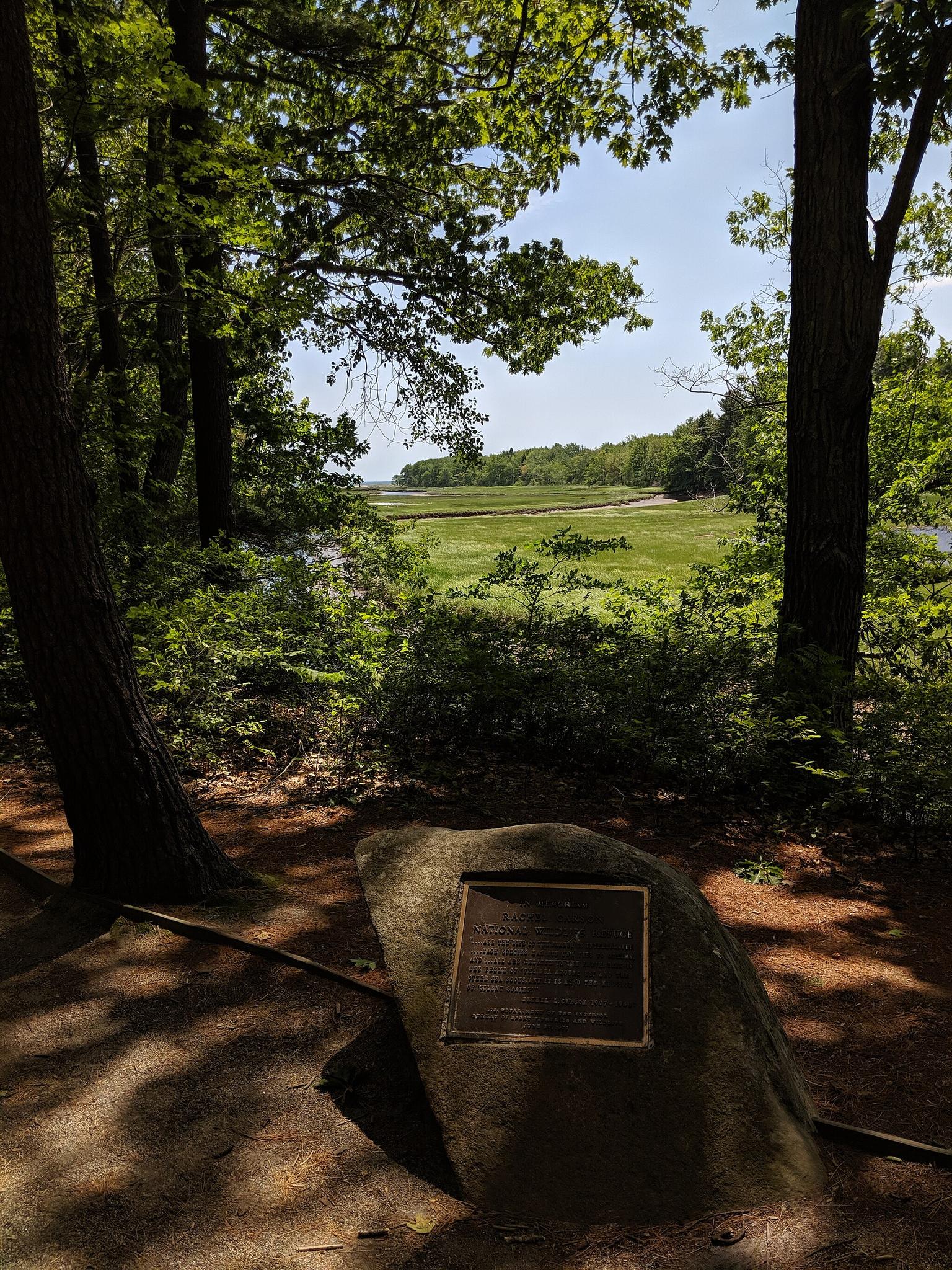 A plaque on a rock in a sunny forest overlooks a vast green marsh.
