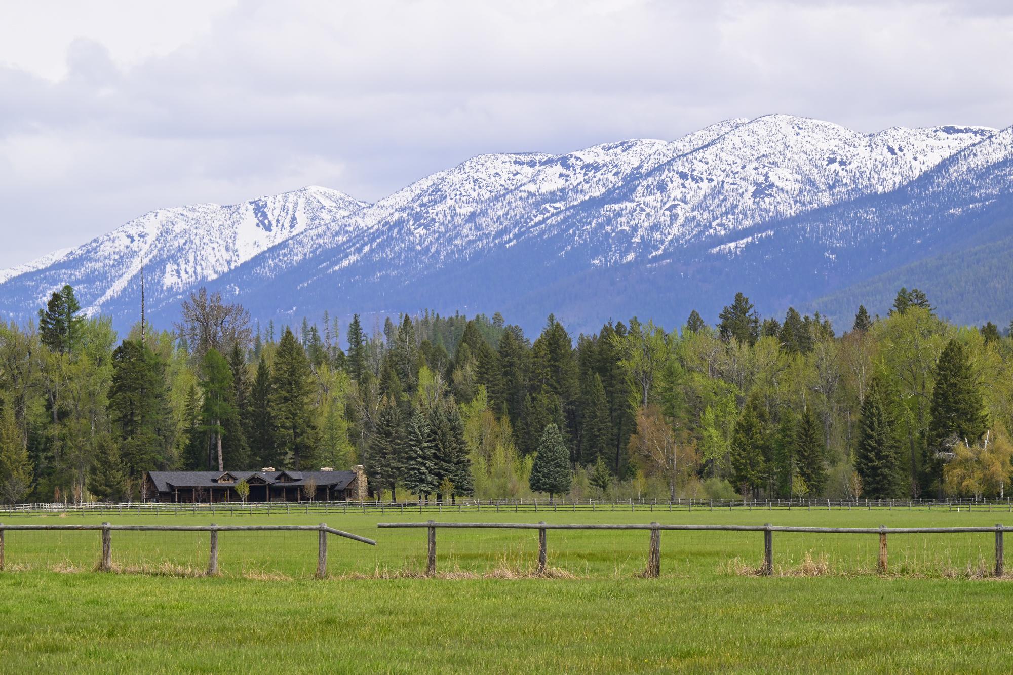 Green field and forest in front of majestic snow-capped mountains.