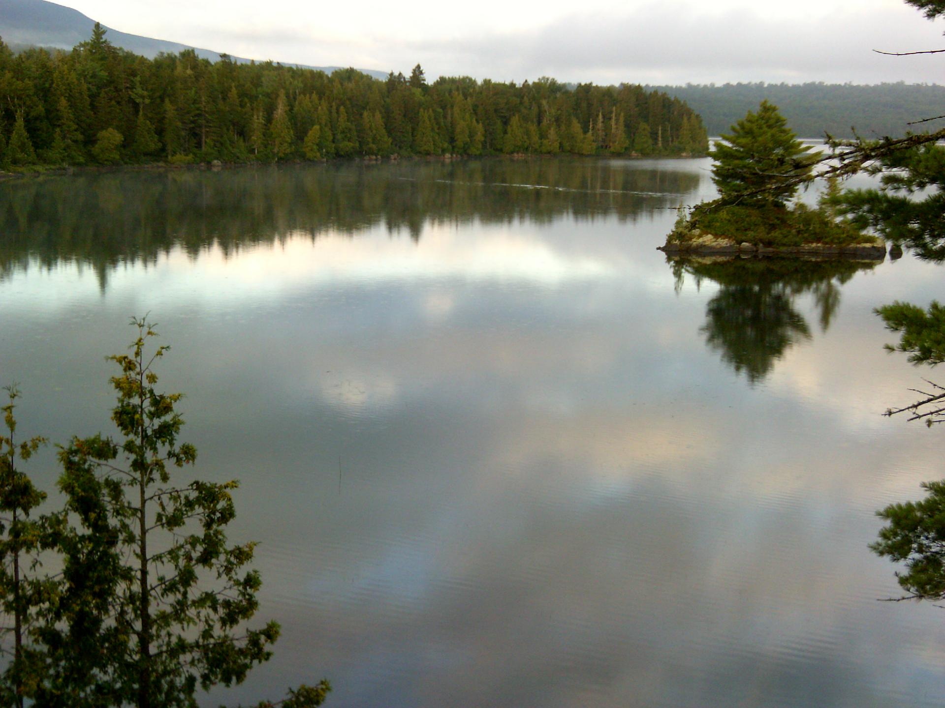 Calm lake reflecting an overcast sky, surrounded by dense evergreen forest.