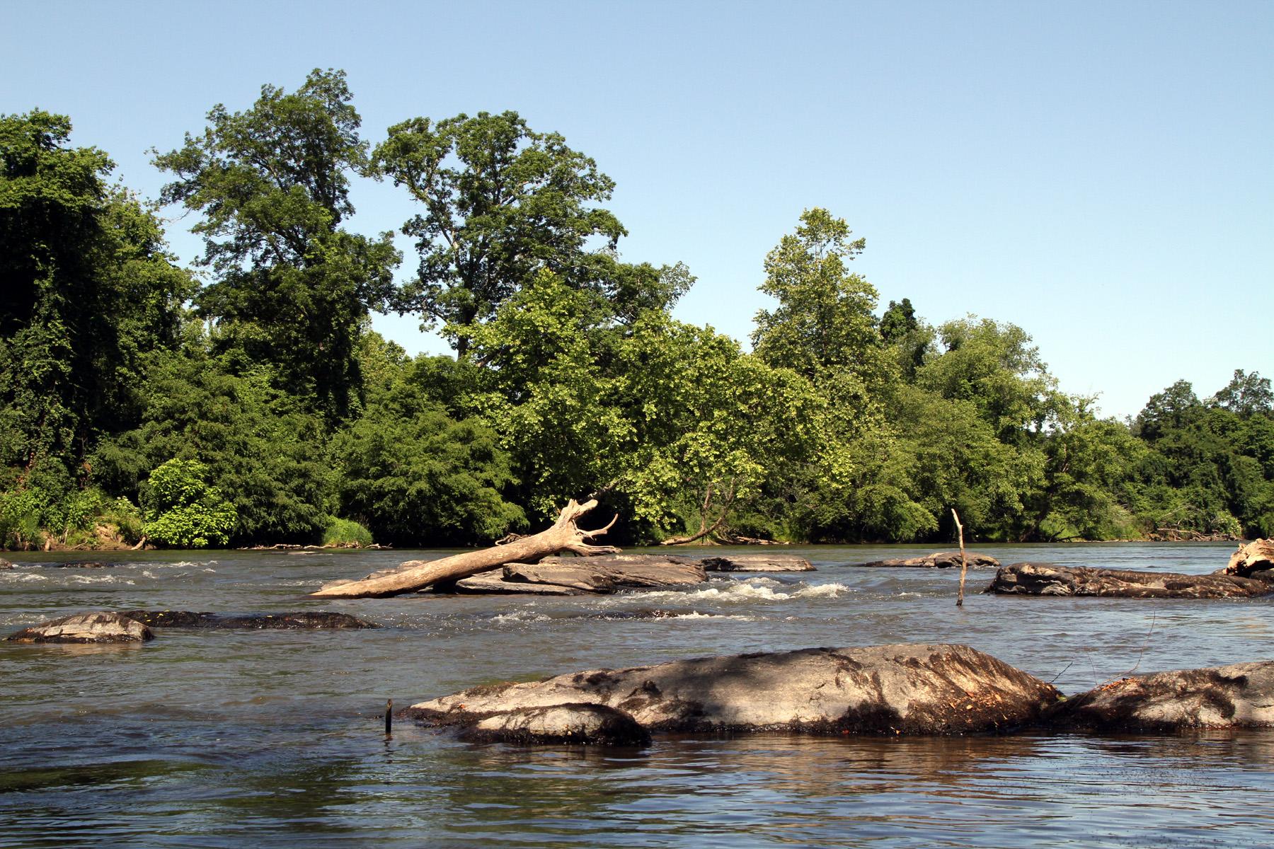 Wide river with rocks and a large fallen log under a clear blue sky.