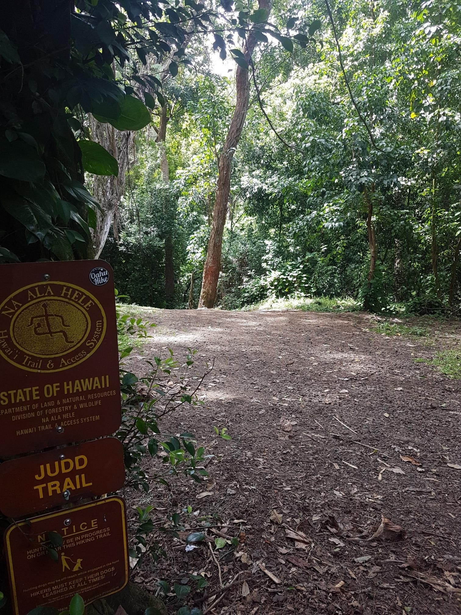 Trail signs beside a sun-dappled dirt path leading into a green forest. - Judd Trail Loop