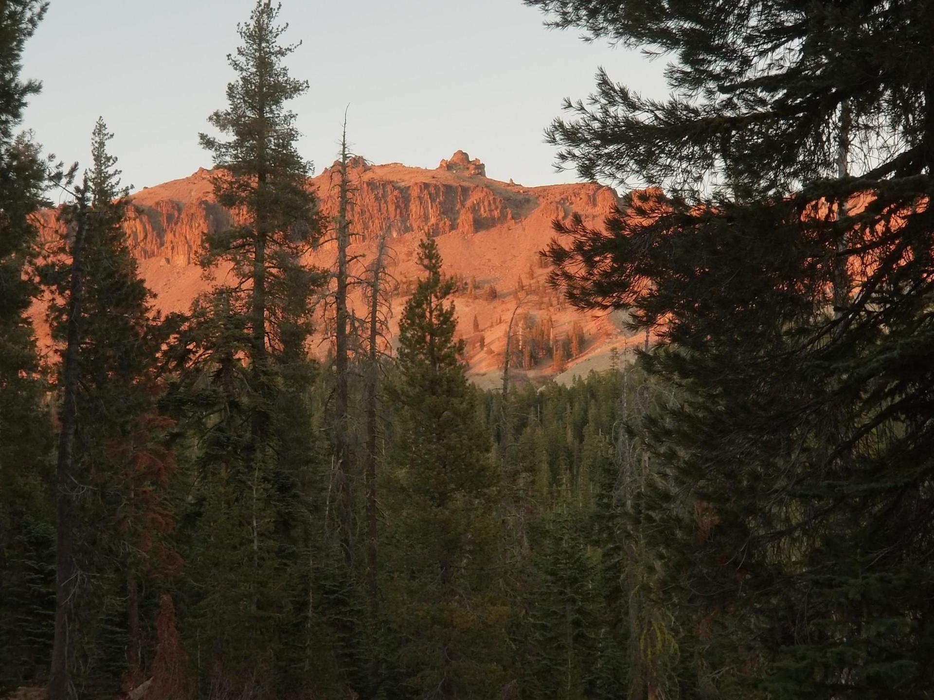 Distant orange-lit mountain peak seen through dark pine trees at sunset.