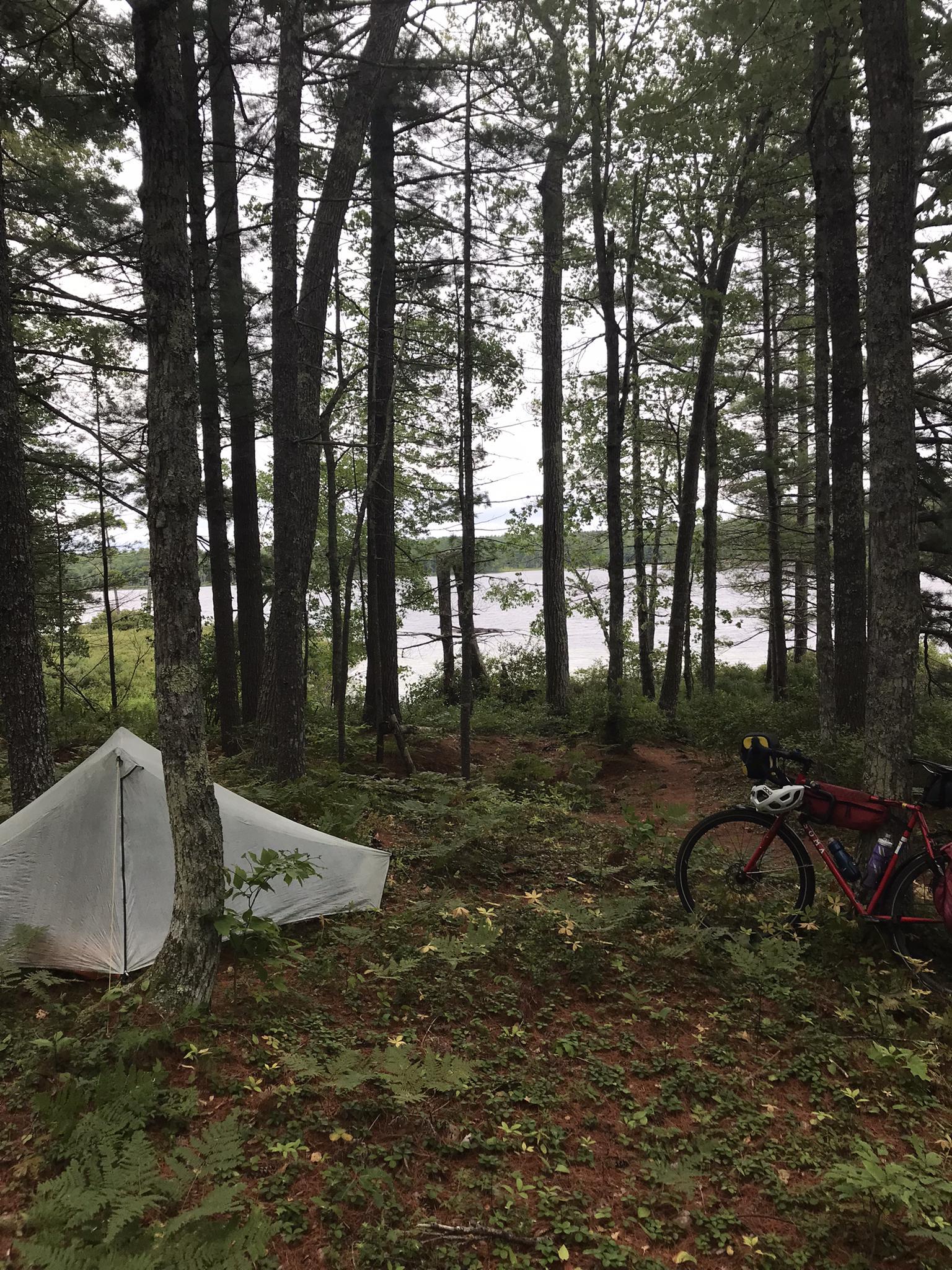 Two tents and a bike in a dense forest by a lake on an overcast day.