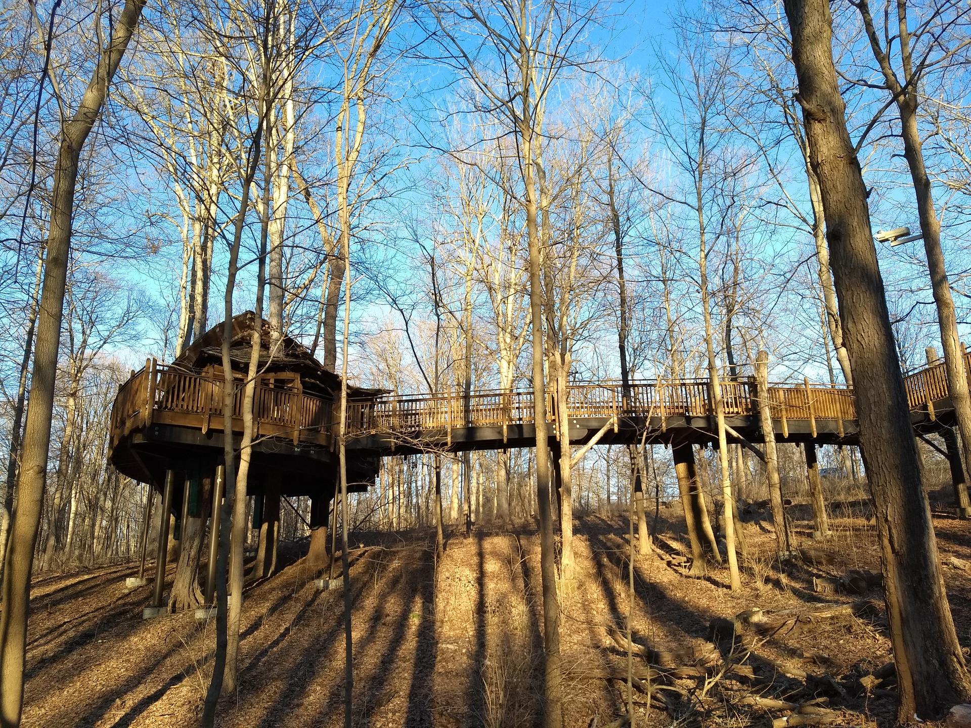 A large wooden treehouse with a long walkway in a sunlit forest.
