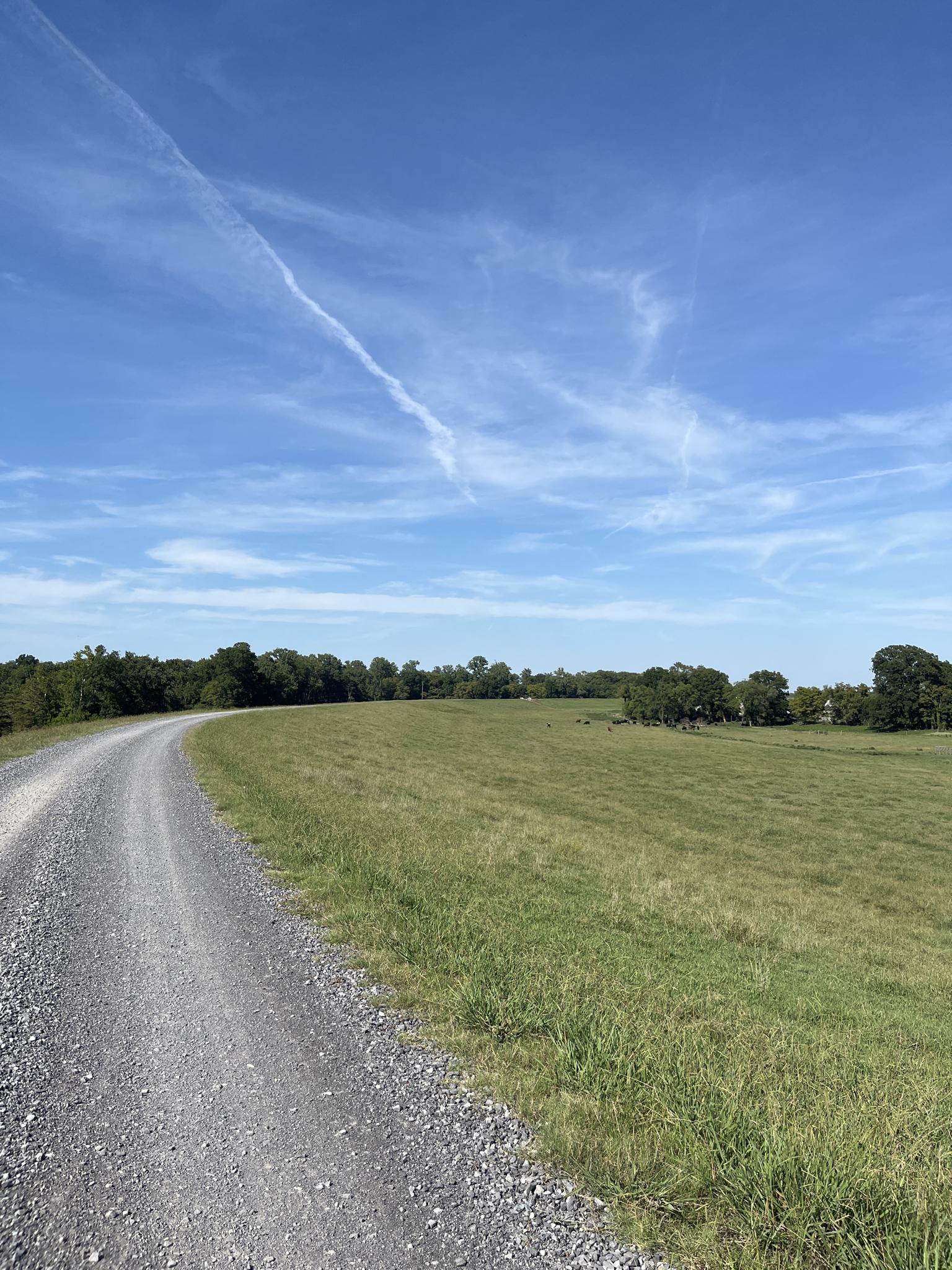 A winding gravel road next to a green field under a bright blue sky.