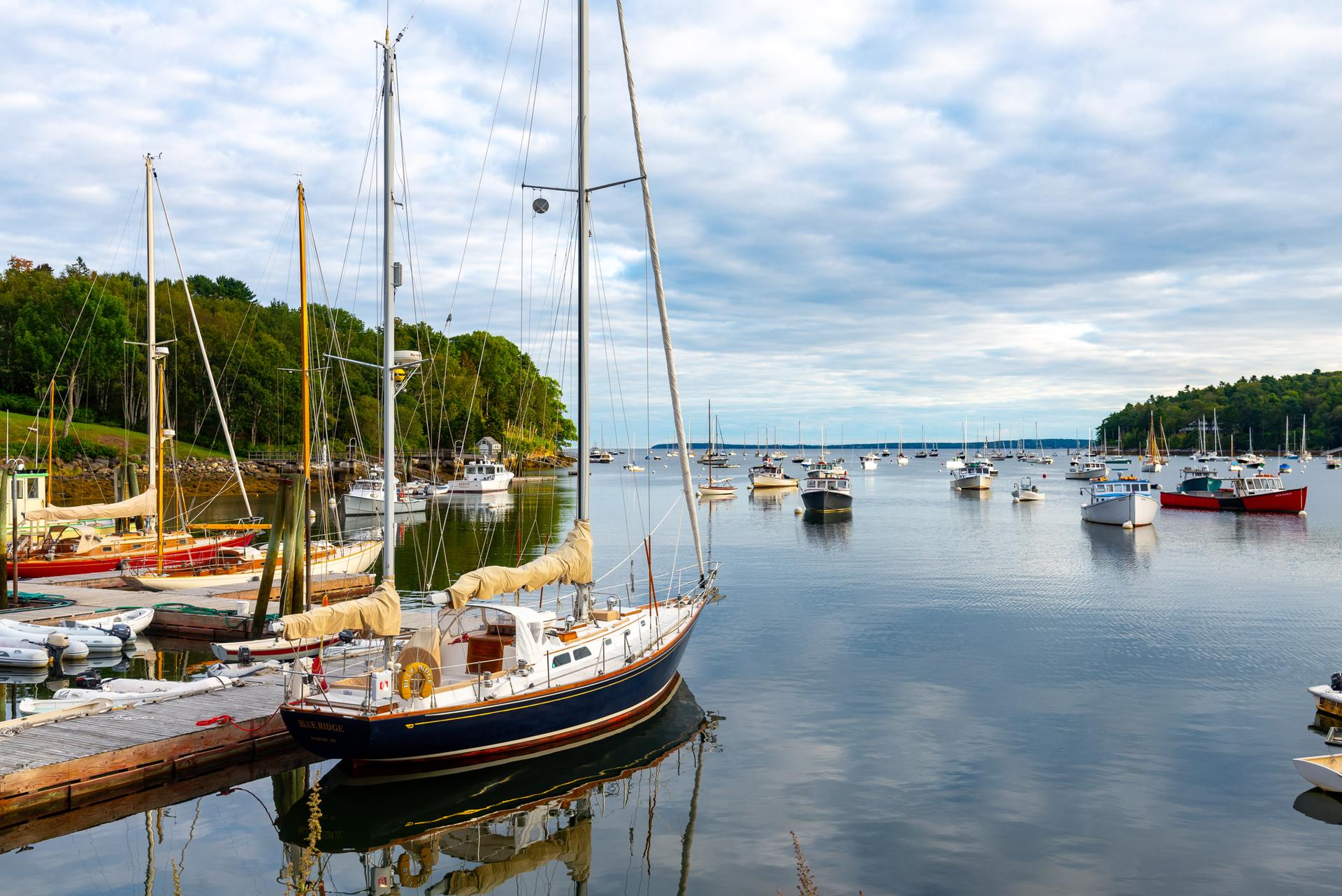 Numerous sailboats and boats moored in a calm harbor under a cloudy sky.