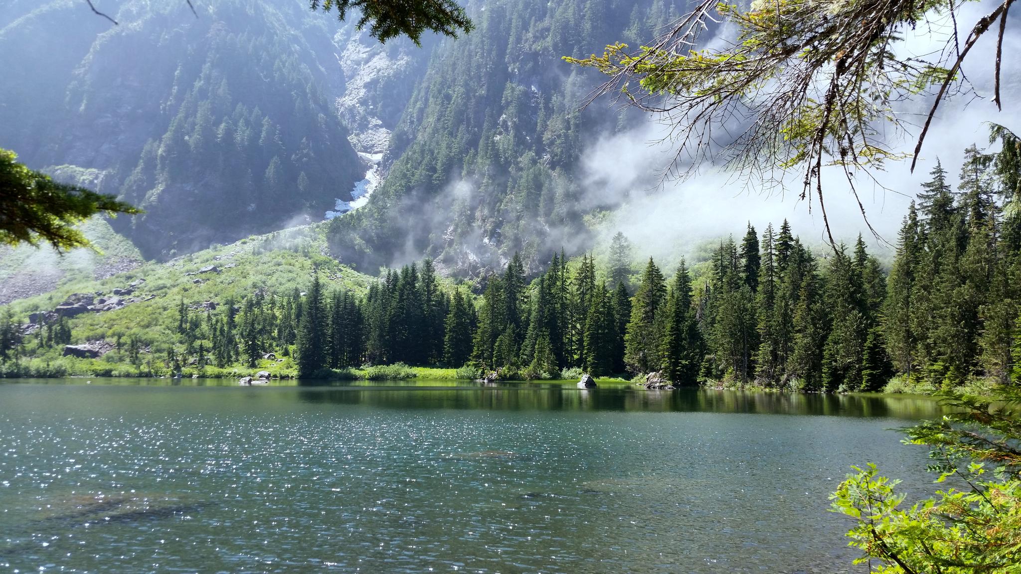 Serene lake surrounded by dense forest and misty, rugged mountains.