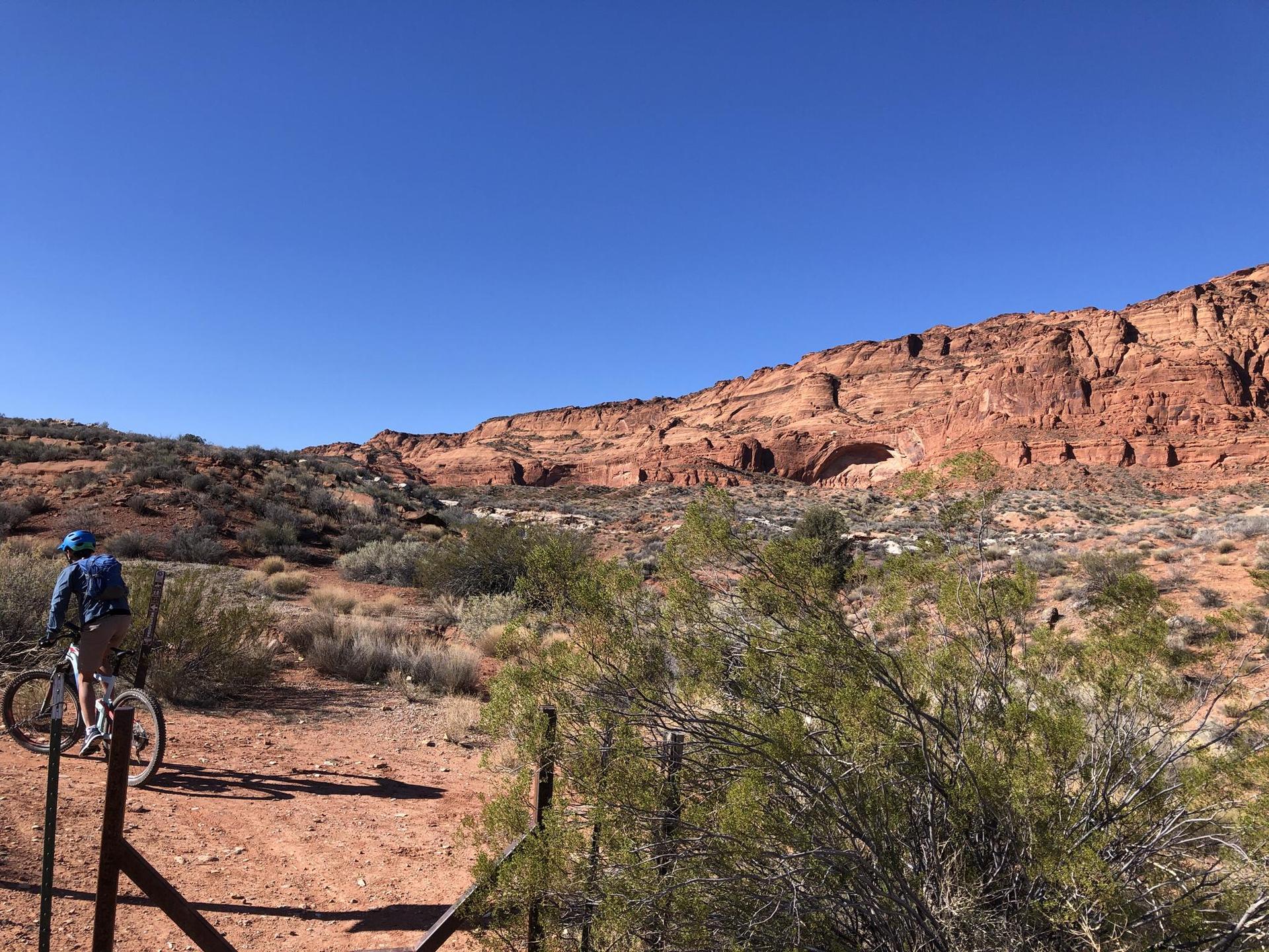 A person on a mountain bike in a sunny desert landscape with red cliffs.