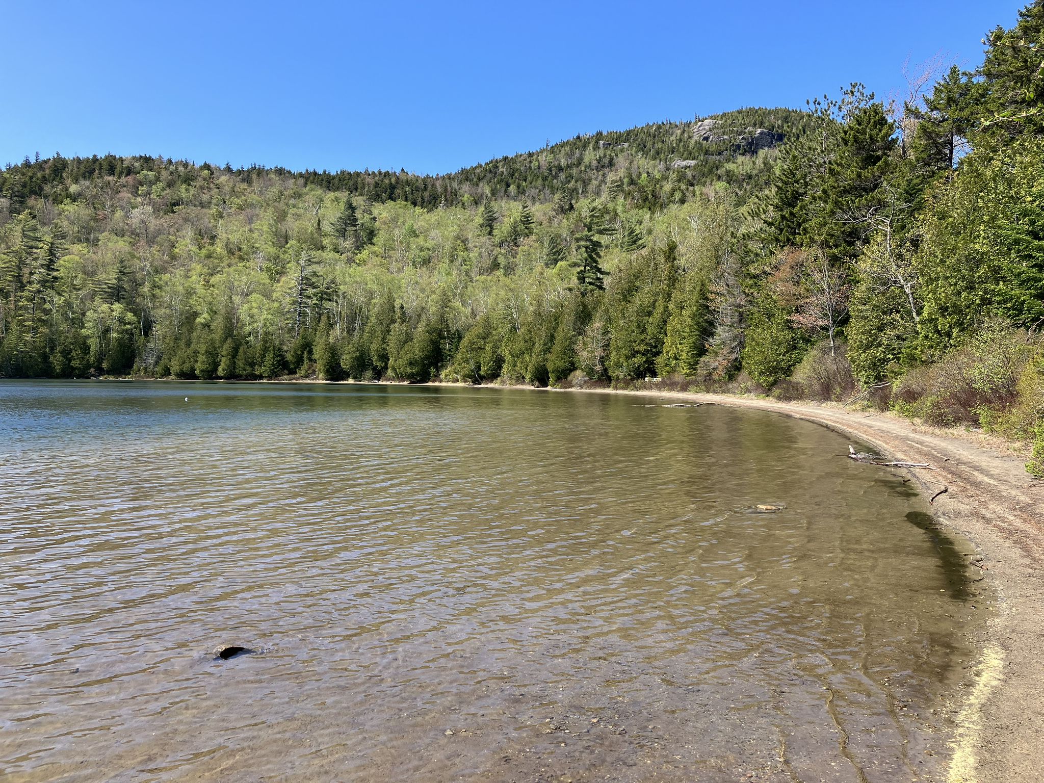 Sunny lake with forested mountains, clear water, and a sandy shore. - Heart Lake and Rocky Falls via Indian Pass Trail