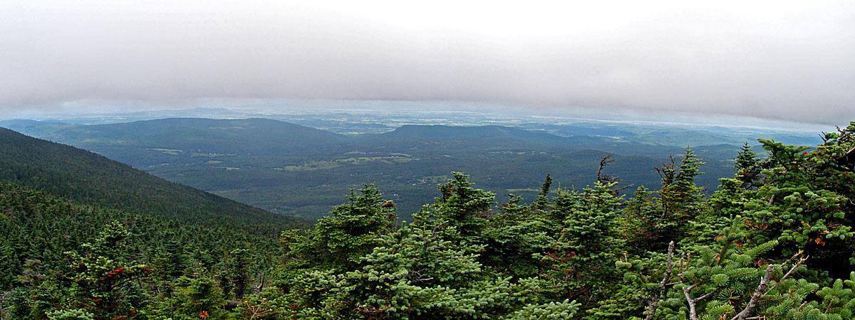 Overcast mountain view with dense evergreen forest and distant hazy valley.