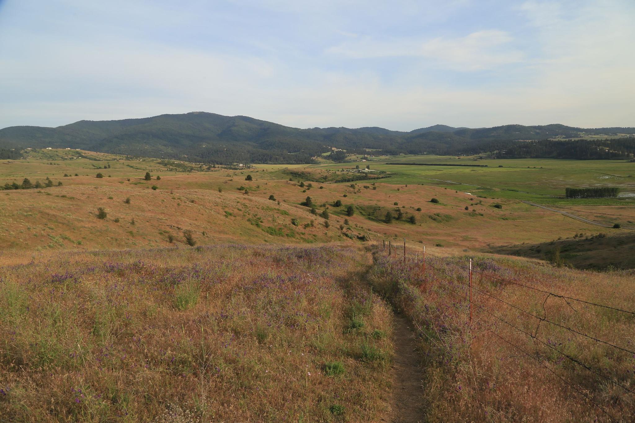 Wide view of rolling dry hills, a dirt path, and distant green mountains under a cloudy sky.