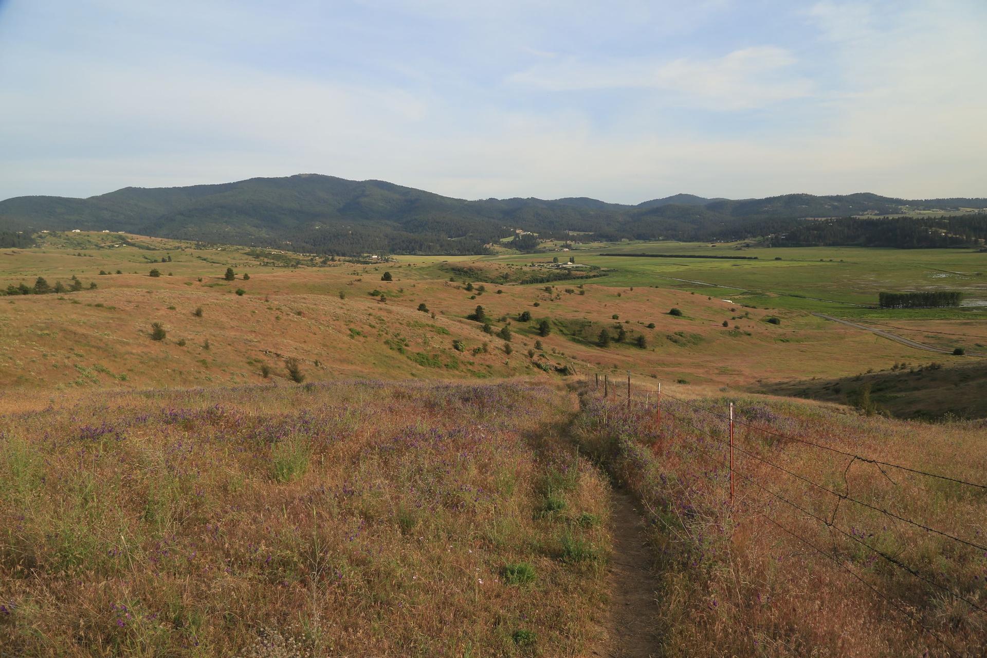 Wide view of rolling dry hills, a dirt path, and distant green mountains under a cloudy sky.