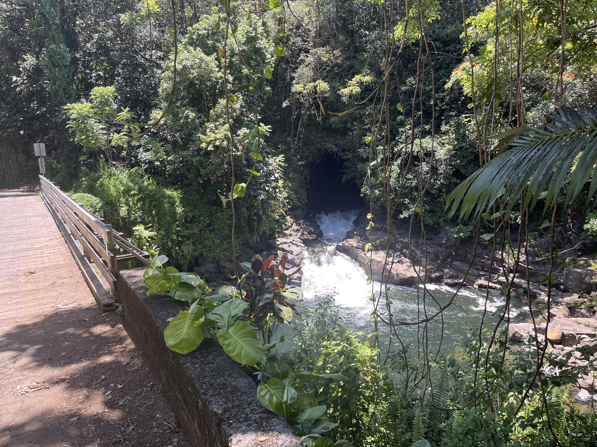 Waterfall cascades into a rocky pool, surrounded by lush green foliage.