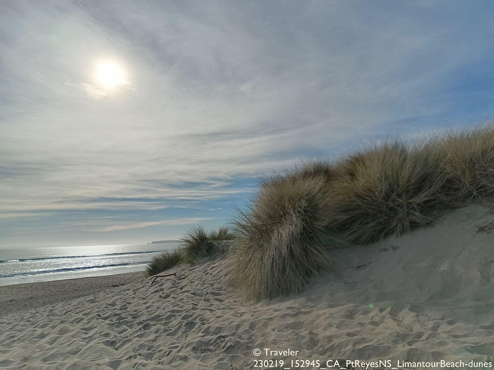 A sandy beach with dune grass, ocean waves, and a bright sun through clouds.