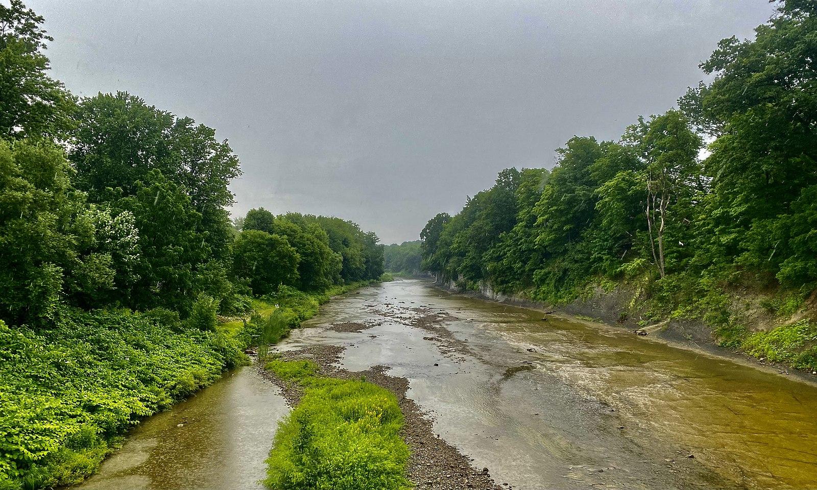 Wide, shallow river flowing through lush green forest under an overcast sky.