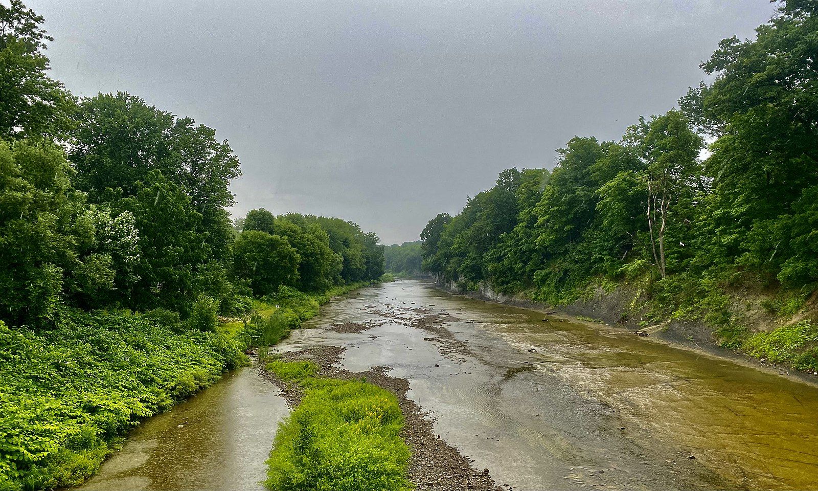 Wide, shallow river flowing through lush green forest under an overcast sky. - BBC Chestnut Ridge Road Race Course