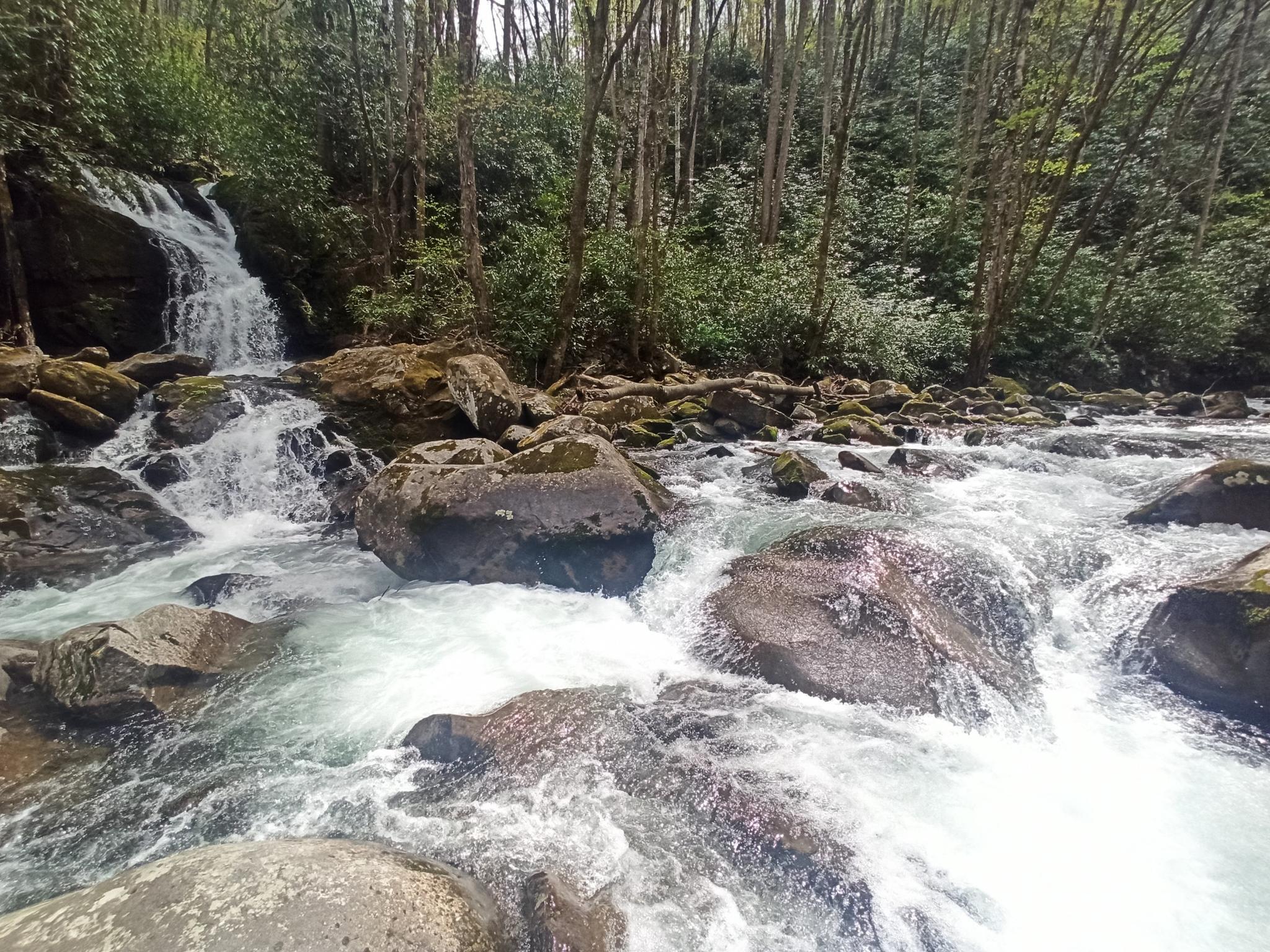 A small waterfall cascades into a rocky river in a green forest.