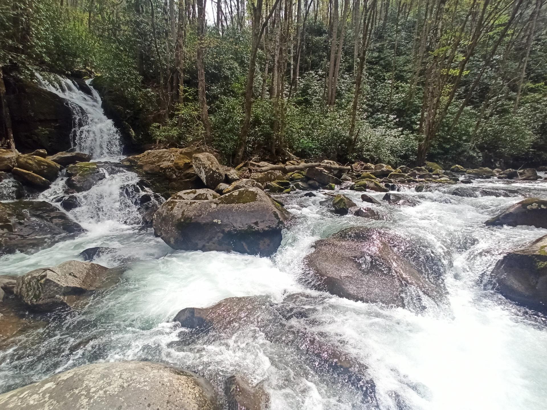 A small waterfall cascades into a rocky river in a green forest.