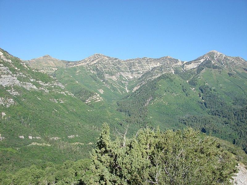Expansive view of green, forested mountains under a clear blue sky.
