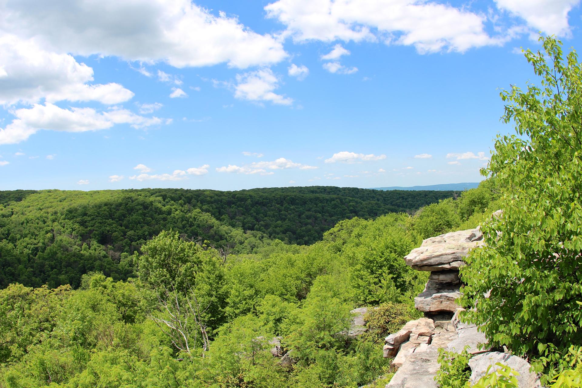 Sunny view of a vast green forest valley with rocky outcrops.