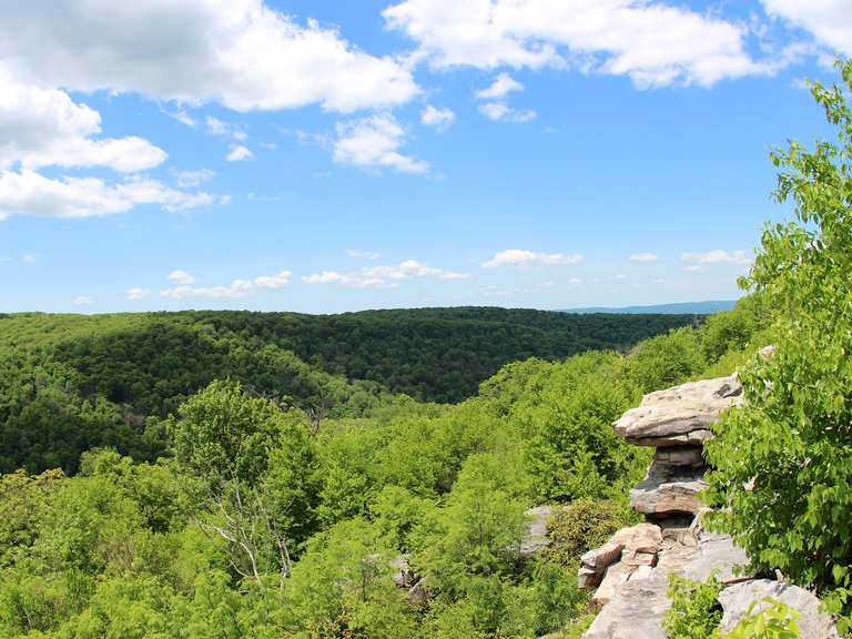 Wolf Rocks Loop Trail — Laurel Summit State Park | Wanderung | Komoot
